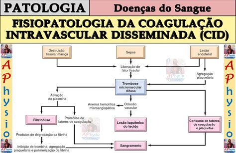 porcvd|Resumo de CIVD (Coagulação Intravascular Disseminada.